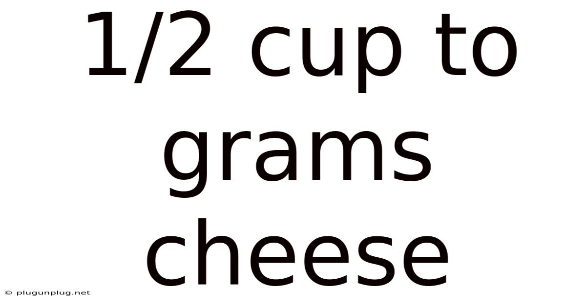 1/2 Cup To Grams Cheese