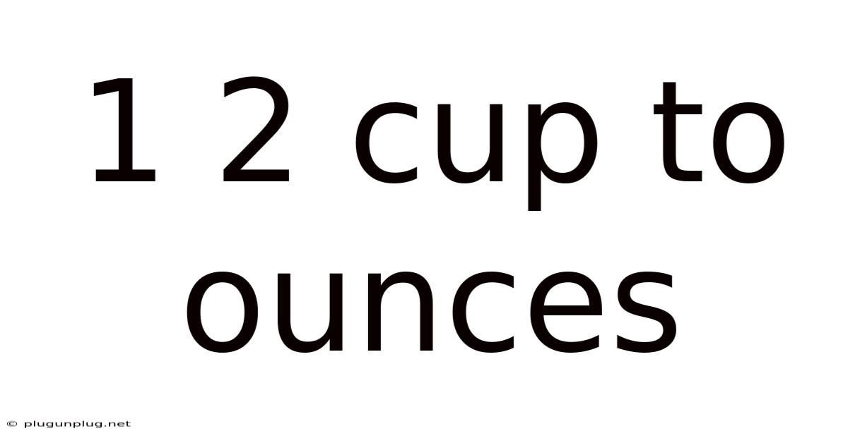 1 2 Cup To Ounces