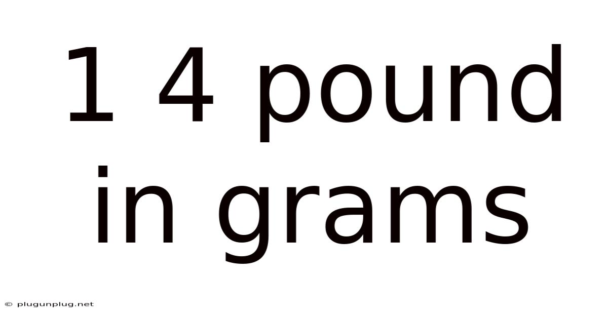 1 4 Pound In Grams