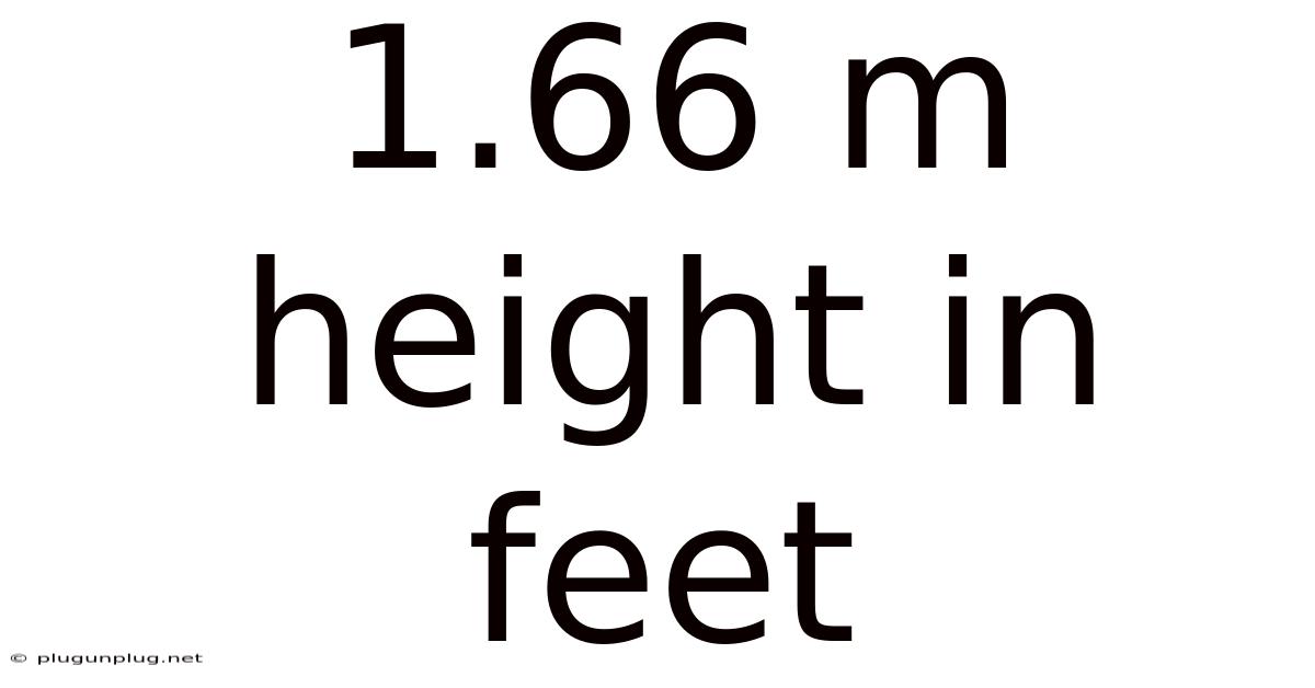 1.66 M Height In Feet