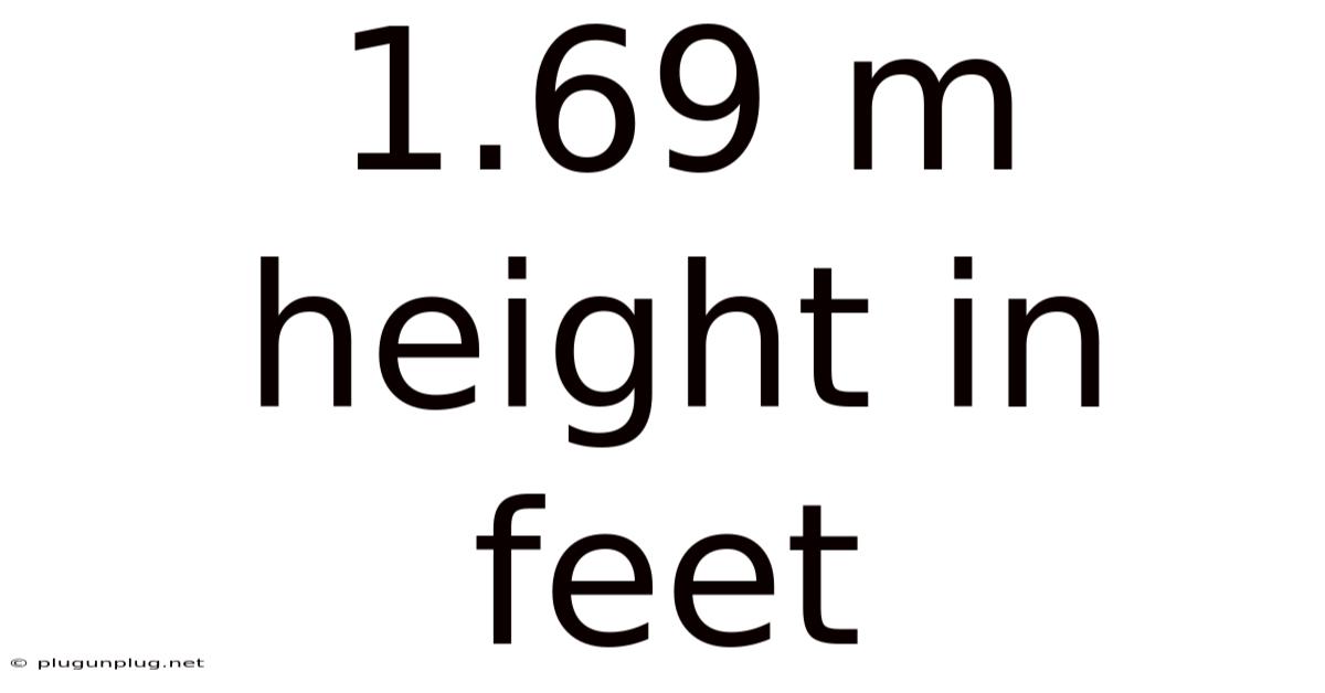 1.69 M Height In Feet