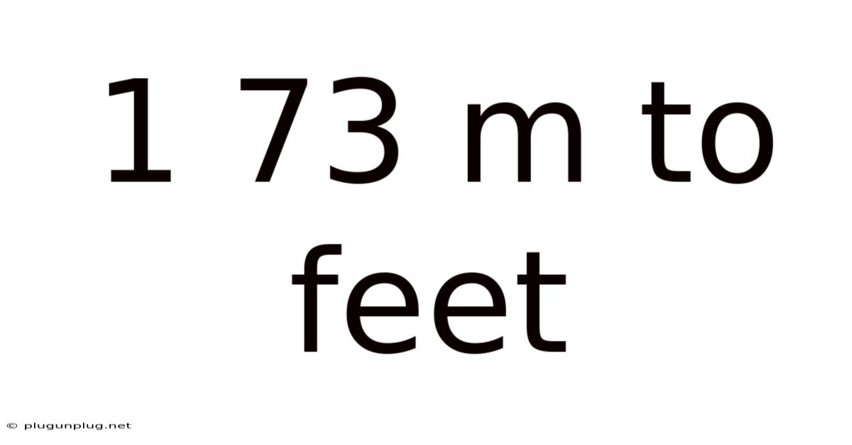 1 73 M To Feet