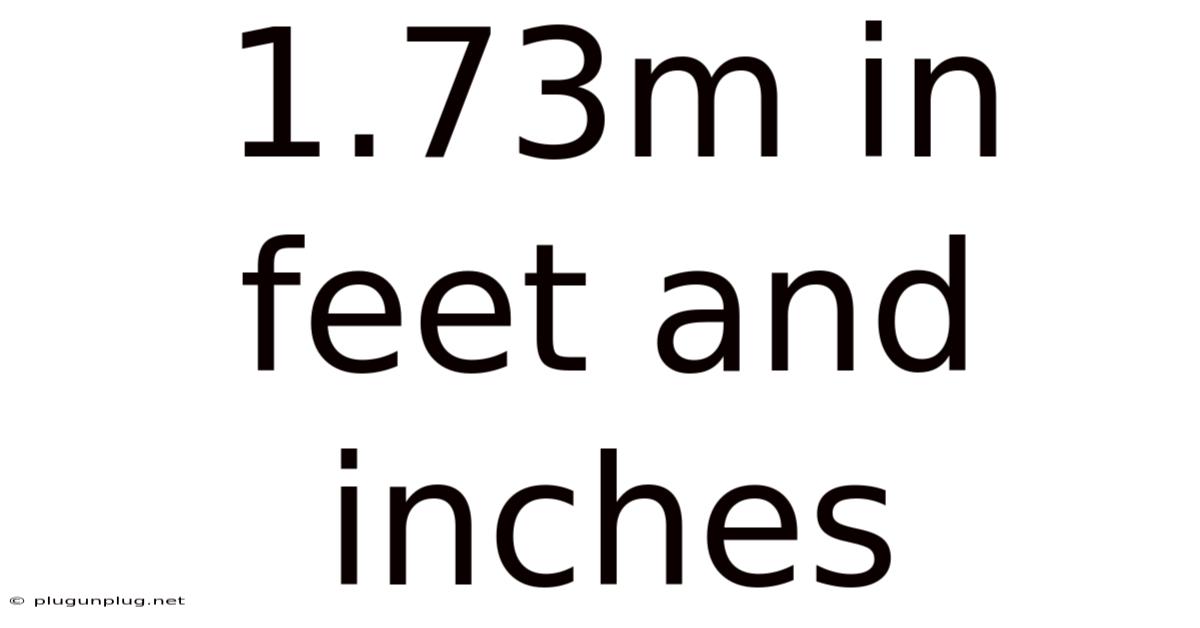 1.73m In Feet And Inches