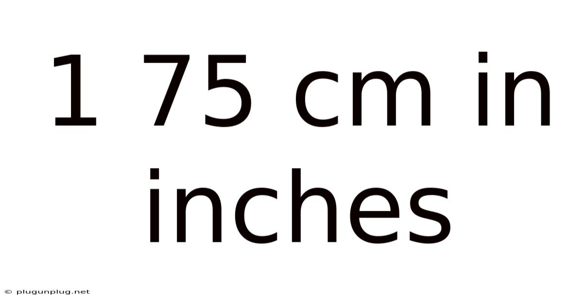 1 75 Cm In Inches