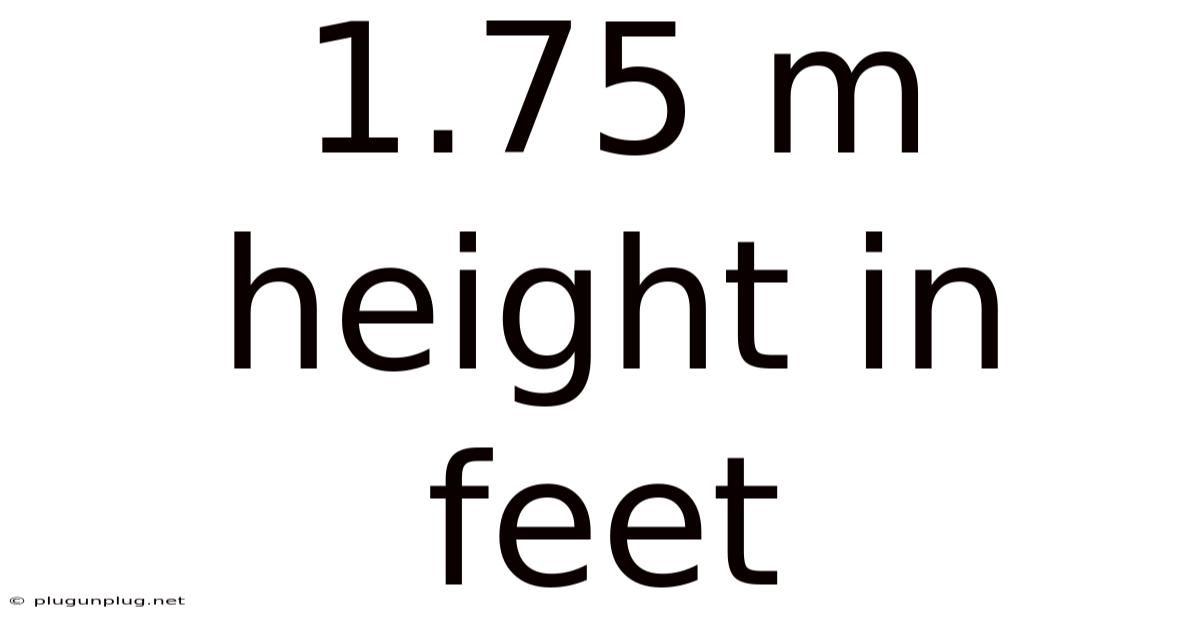 1.75 M Height In Feet