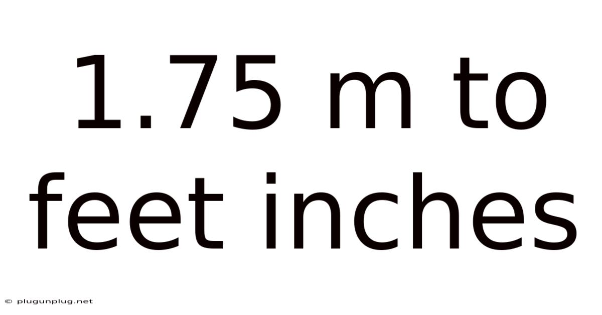 1.75 M To Feet Inches