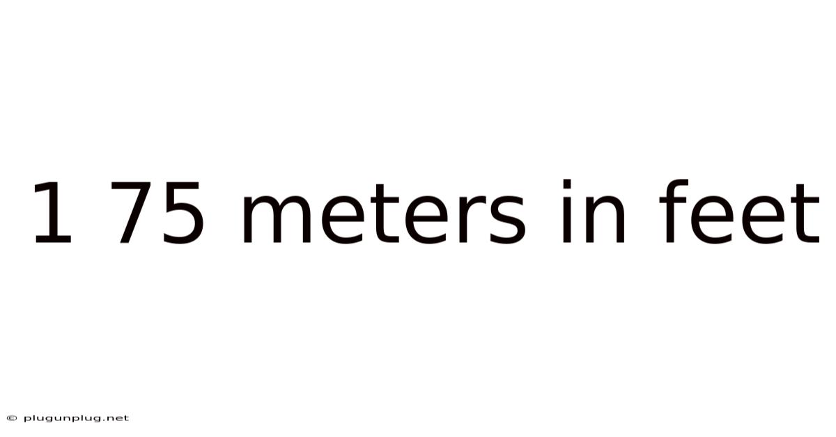 1 75 Meters In Feet