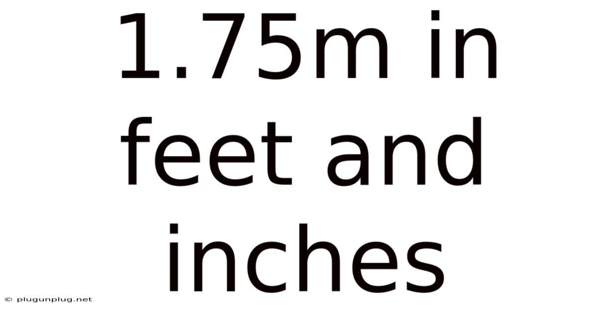 1.75m In Feet And Inches