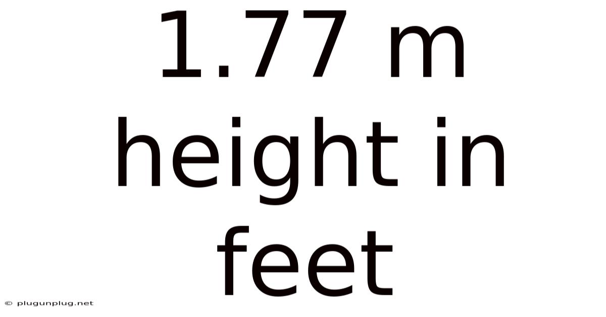 1.77 M Height In Feet