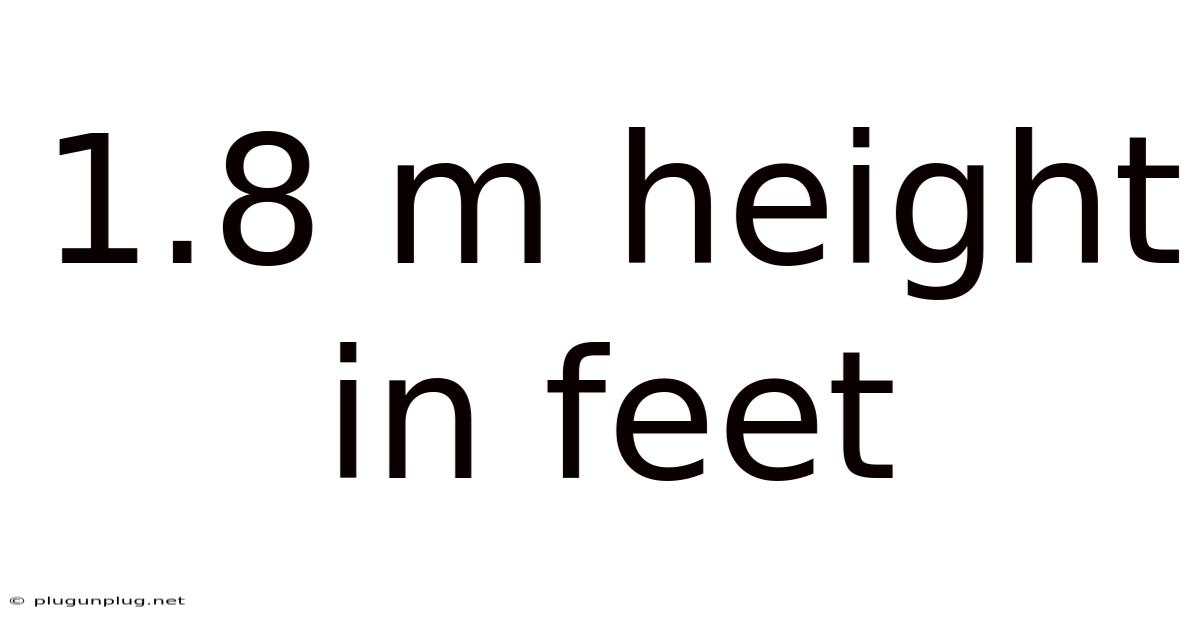1.8 M Height In Feet