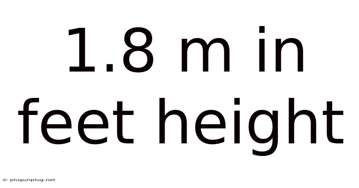 1.8 M In Feet Height