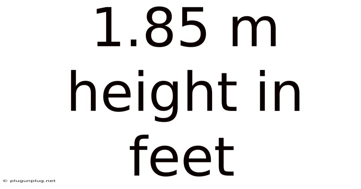 1.85 M Height In Feet