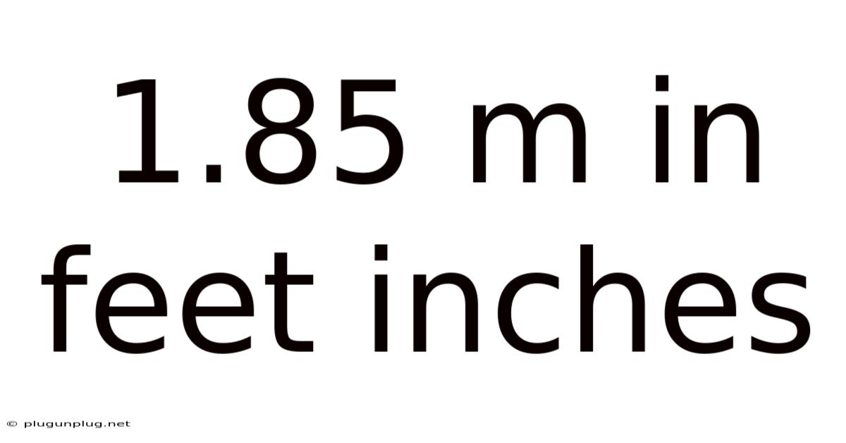 1.85 M In Feet Inches