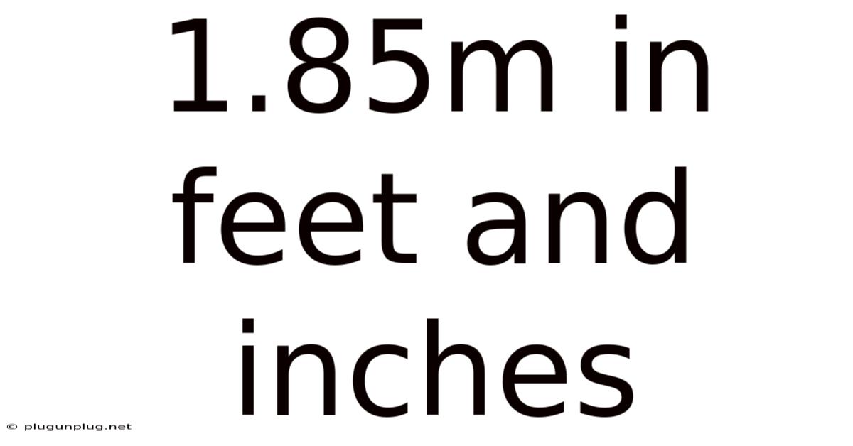 1.85m In Feet And Inches