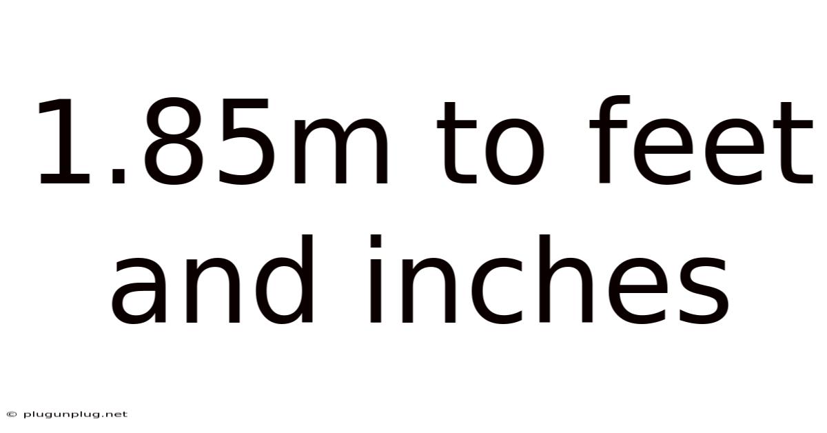 1.85m To Feet And Inches
