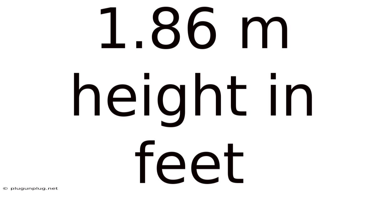 1.86 M Height In Feet