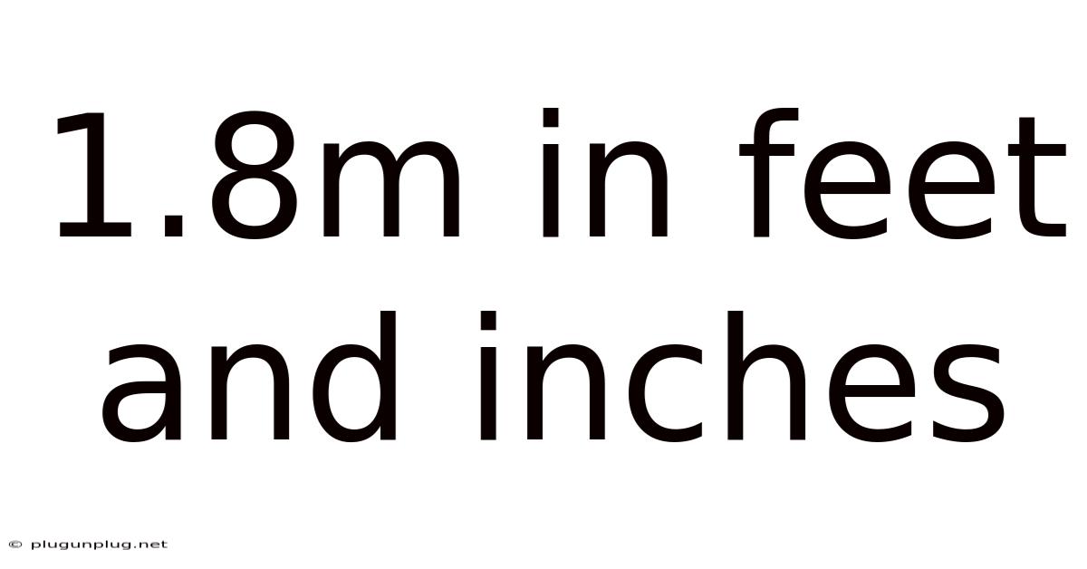 1.8m In Feet And Inches