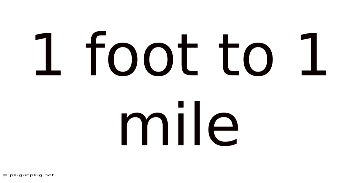 1 Foot To 1 Mile