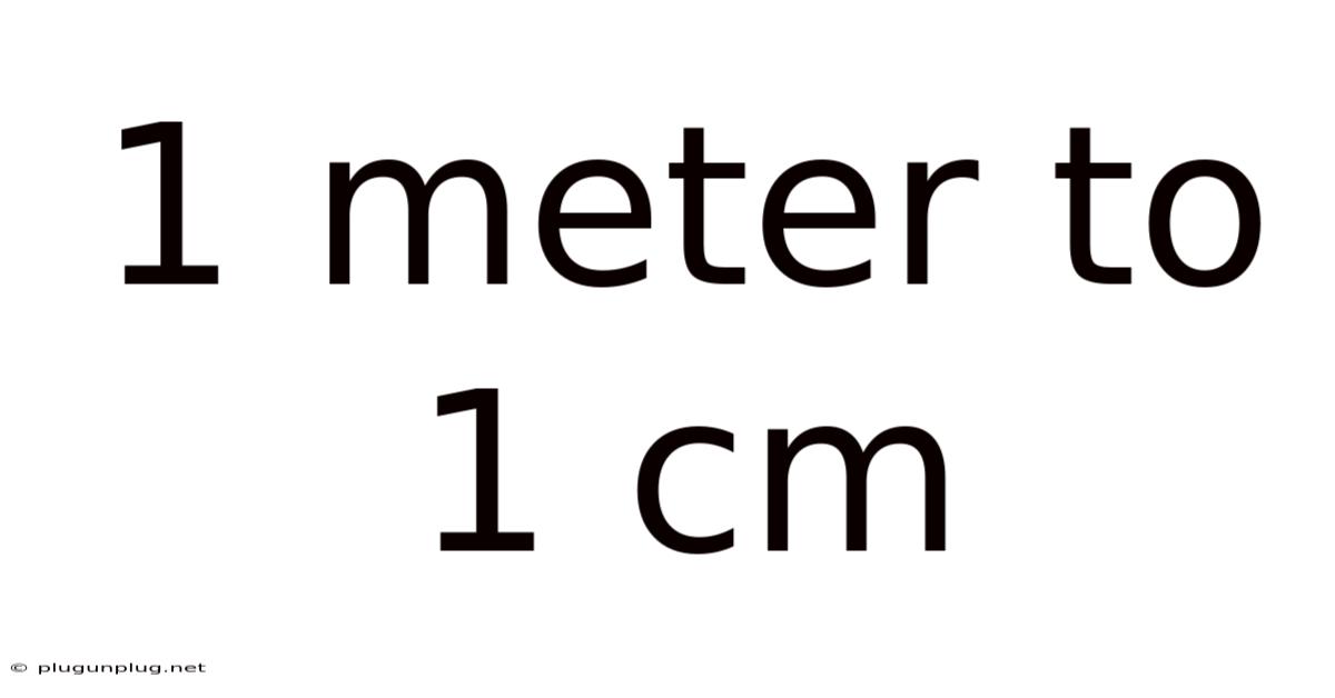 1 Meter To 1 Cm
