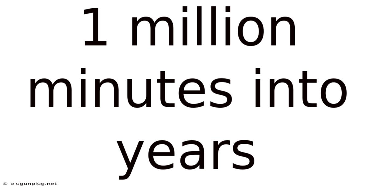 1 Million Minutes Into Years