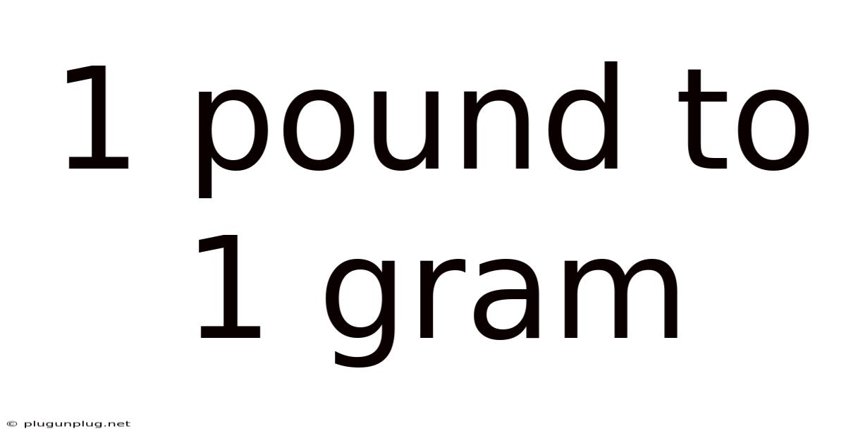 1 Pound To 1 Gram