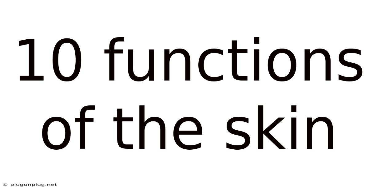 10 Functions Of The Skin