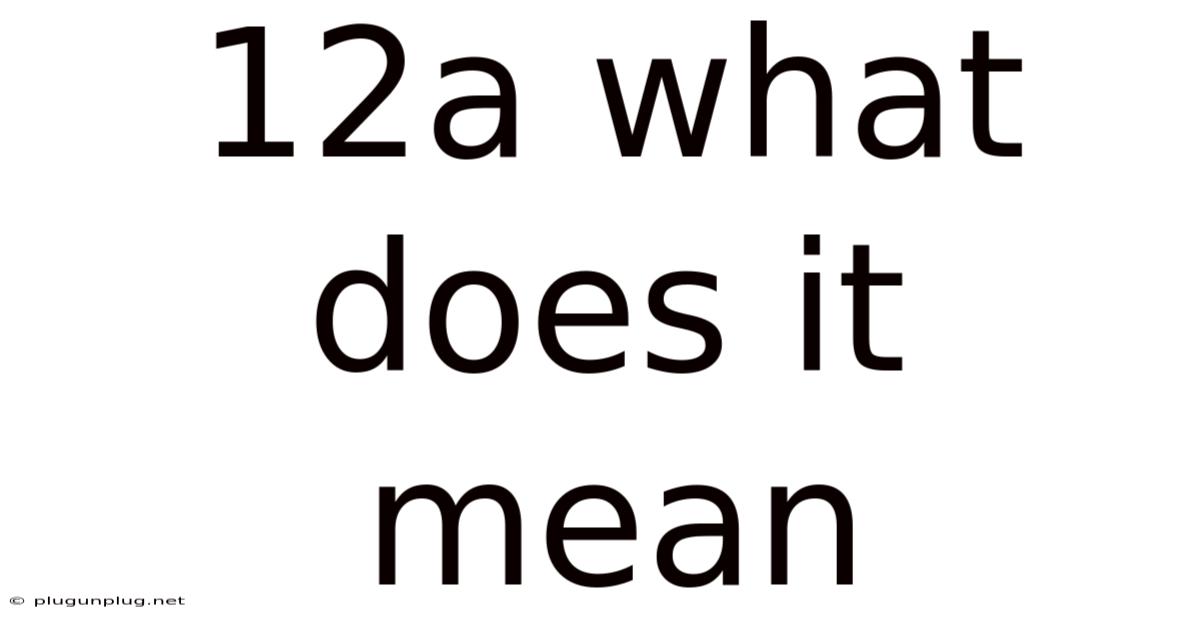 12a What Does It Mean