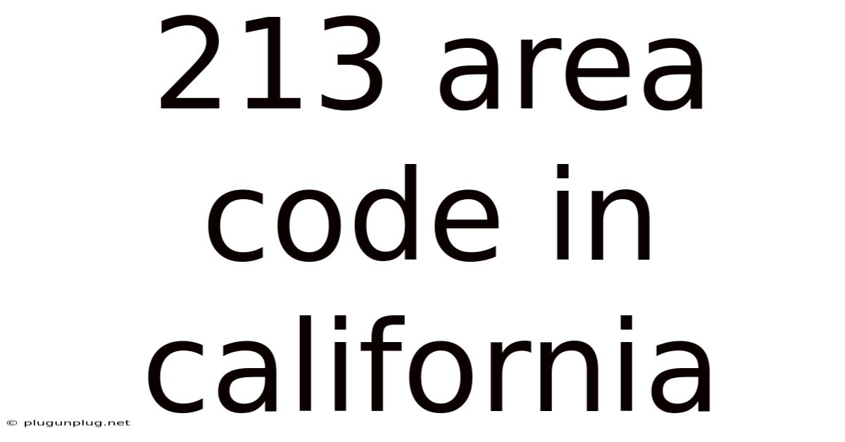 213 Area Code In California
