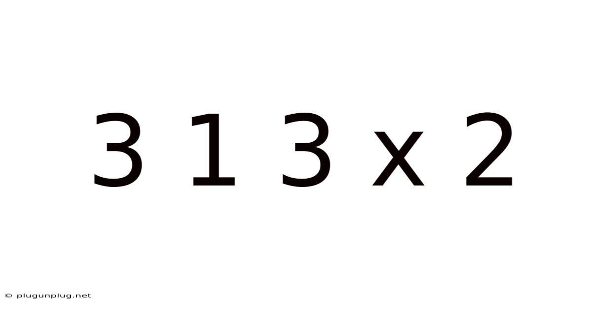 3 1 3 X 2