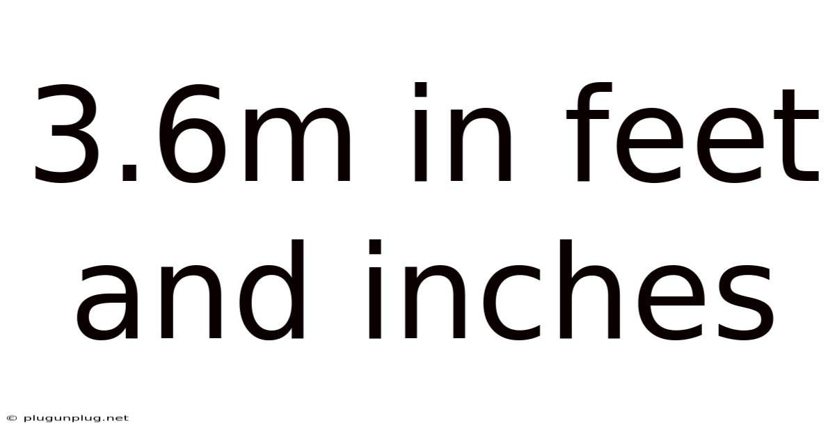 3.6m In Feet And Inches