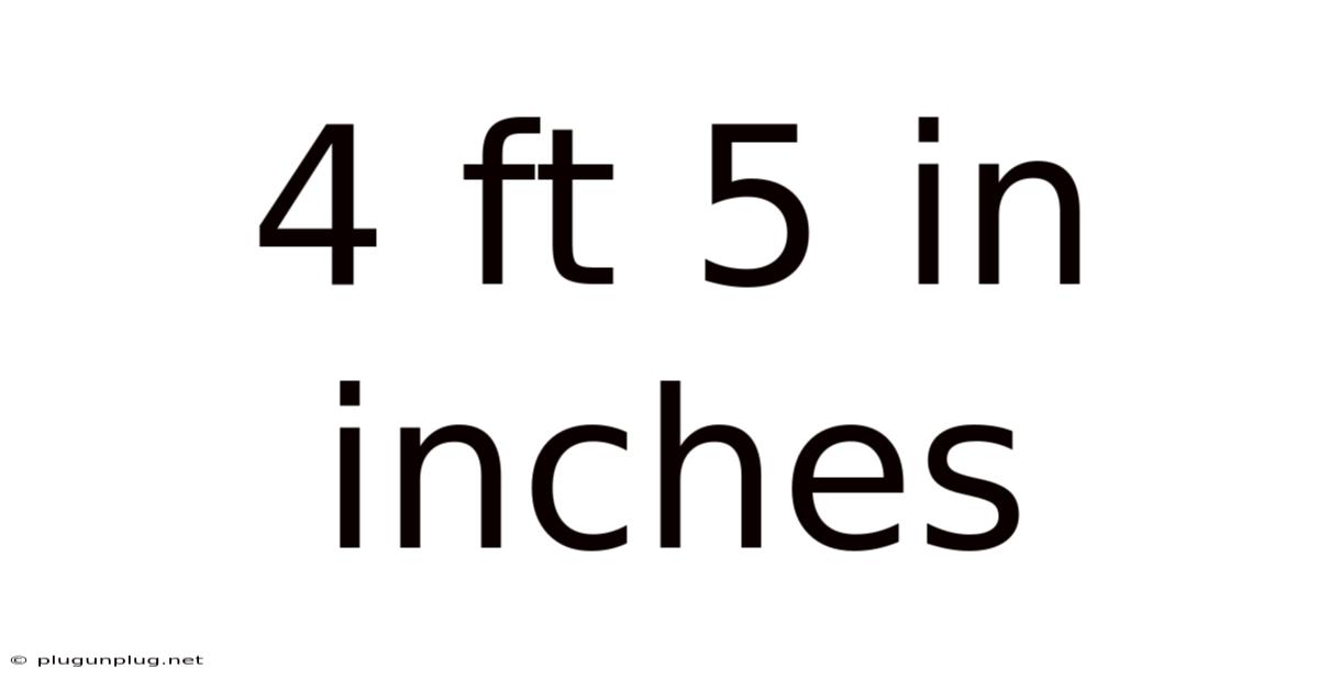 4 Ft 5 In Inches