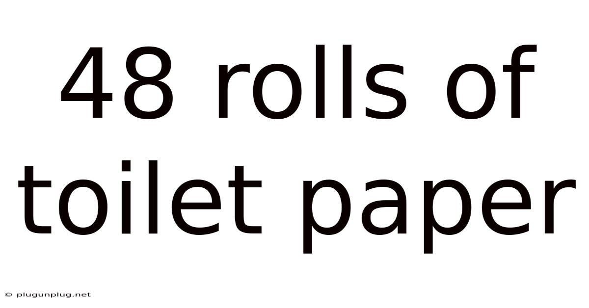 48 Rolls Of Toilet Paper