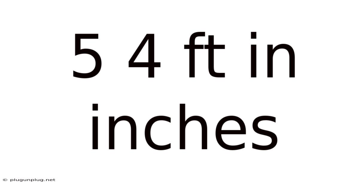 5 4 Ft In Inches