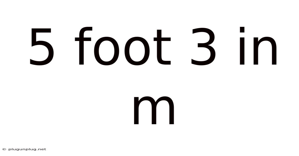 5 Foot 3 In M