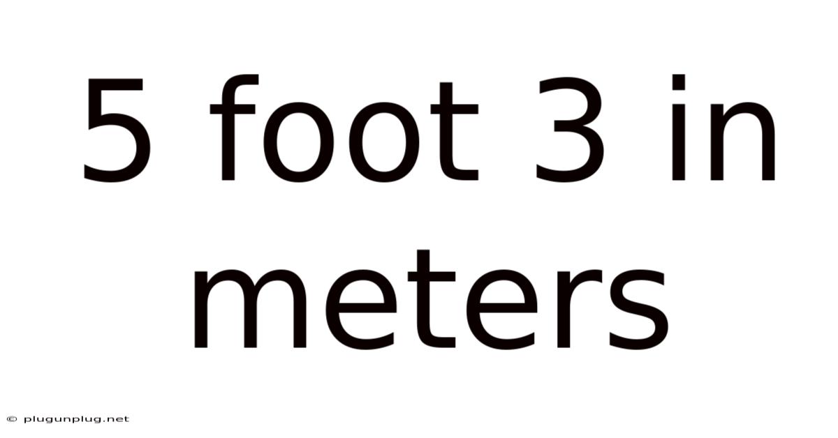 5 Foot 3 In Meters