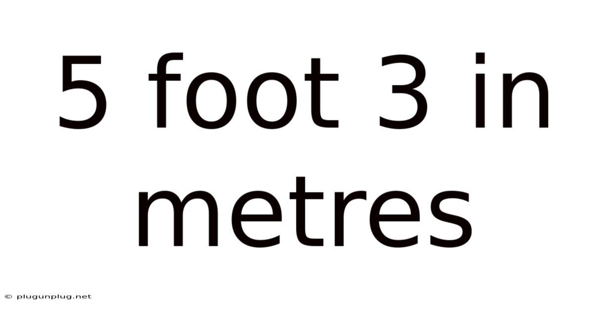 5 Foot 3 In Metres