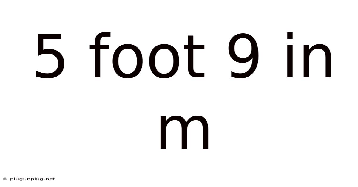 5 Foot 9 In M