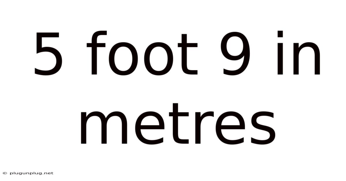 5 Foot 9 In Metres