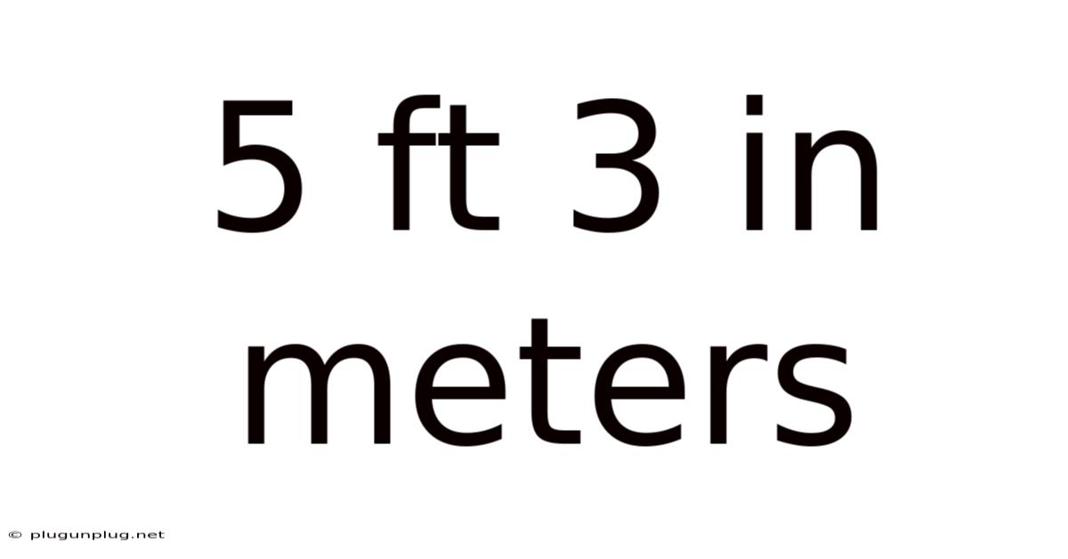 5 Ft 3 In Meters