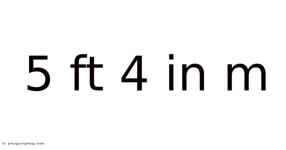 5 Ft 4 In M