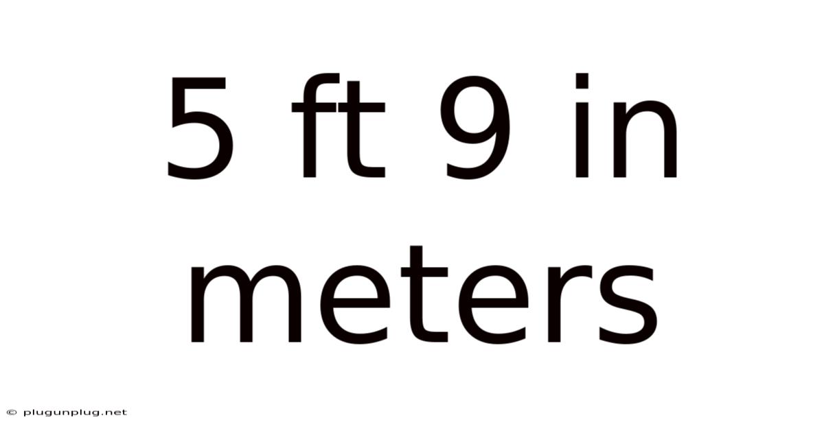 5 Ft 9 In Meters
