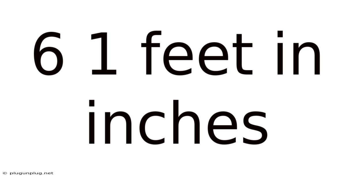 6 1 Feet In Inches