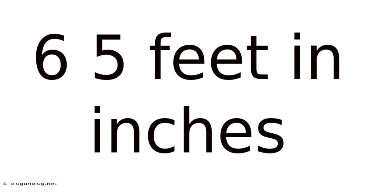 6 5 Feet In Inches