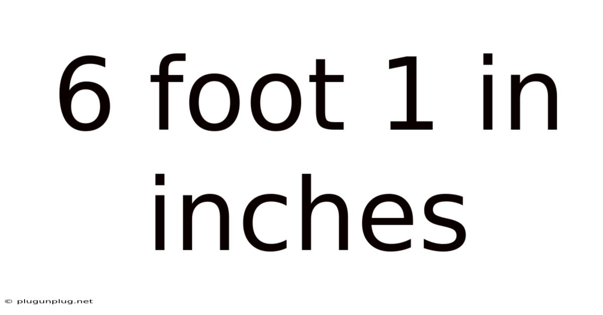 6 Foot 1 In Inches