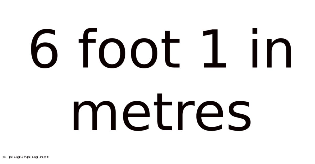 6 Foot 1 In Metres
