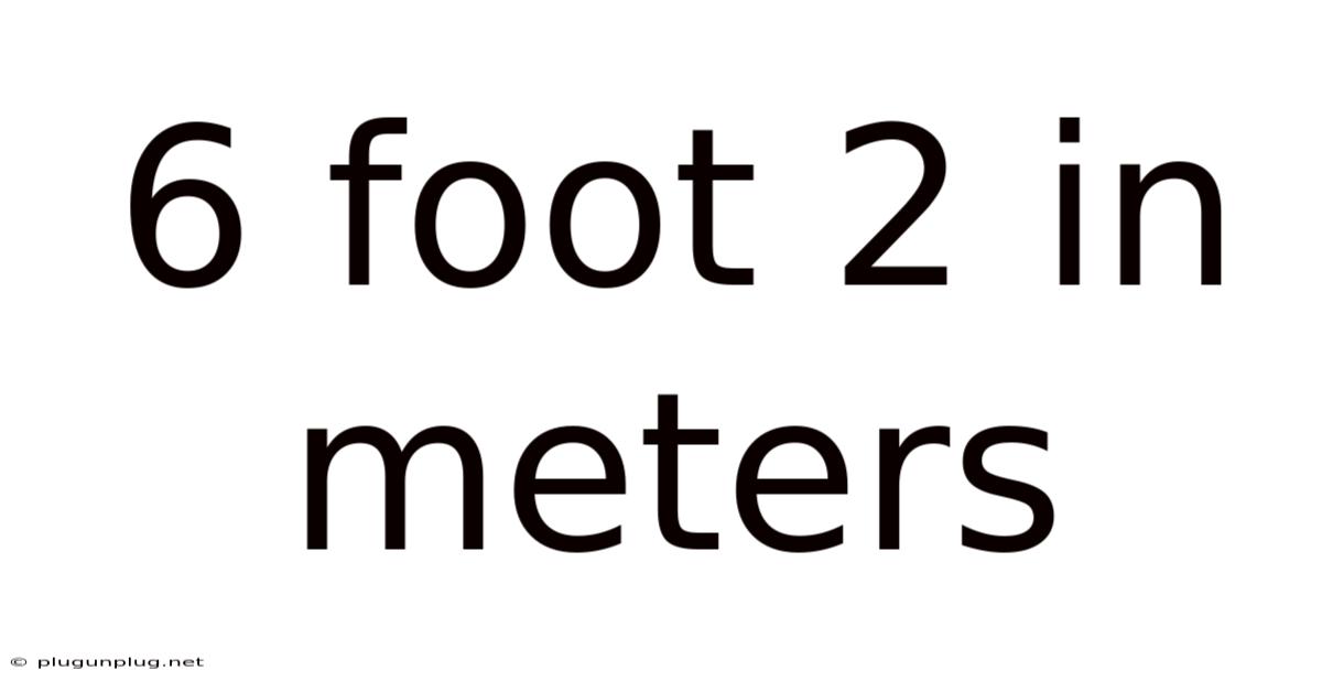 6 Foot 2 In Meters