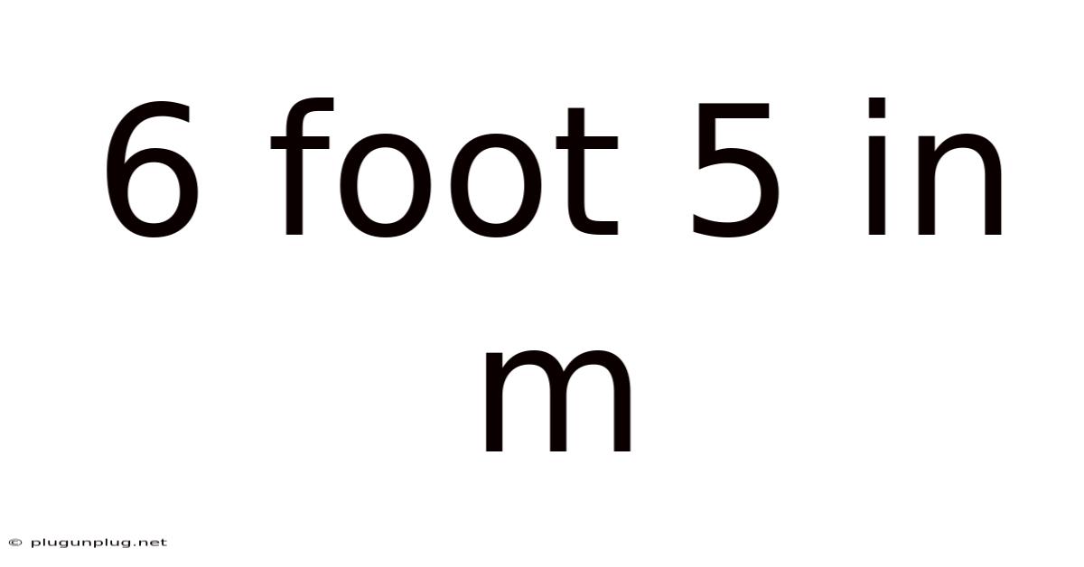 6 Foot 5 In M