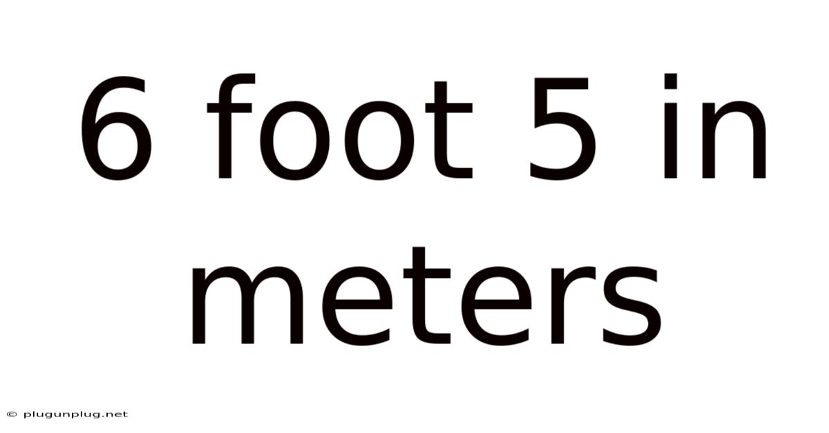 6 Foot 5 In Meters