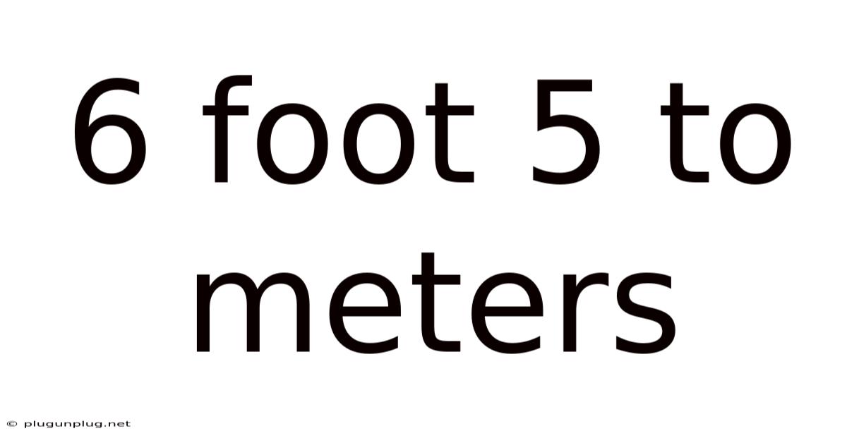 6 Foot 5 To Meters