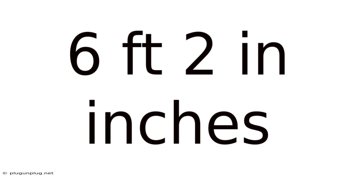 6 Ft 2 In Inches